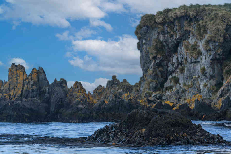 Islas Georgias del Sur 096.jpg
